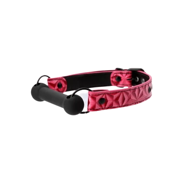 Sinful Bar Gag Pink - bizalmi játékok fetish kelléke