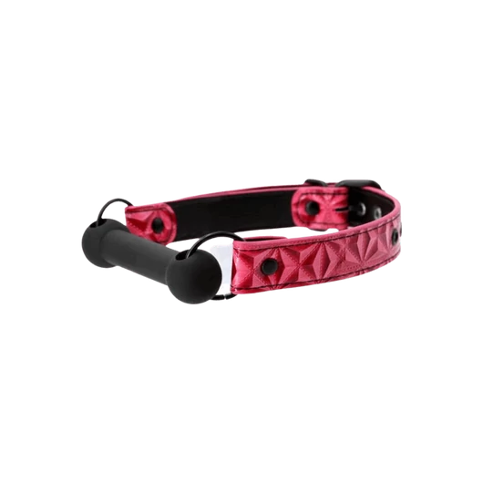Sinful Bar Gag Pink - bizalmi játékok fetish kelléke