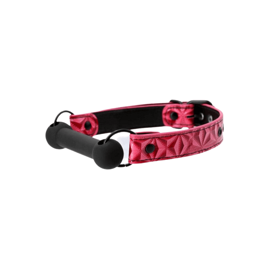 Sinful Bar Gag Pink