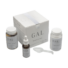 Kép 2/3 - GAL+ Multivitamin - 